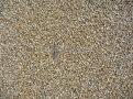 Quartz 4/10 naturel